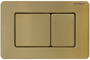 Клавиша для инсталляции CHARUS Robusto FP.310.BG.05 брашированное золото